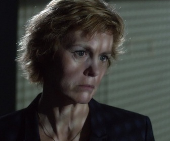 Replay Boulevard du palais - S16 E02 - Un bien pour le mal