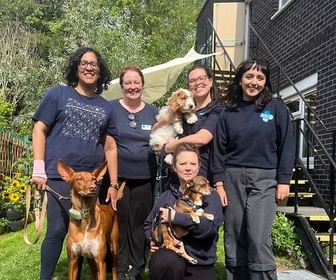 Replay Pauvres maîtres, pauvres bêtes ! - ARTE Regards