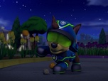Replay Paw Patrol, la Pat'Patrouille - Les tulipes