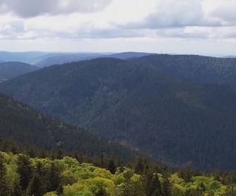 Replay Invitation au voyage - 24/02/2025 - Les Vosges, territoire poétique de Claudie Hunzinger