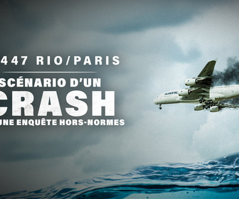 Replay AF447 Rio/Paris : scénario d'un crash et d'une enquête hors normes