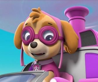 Replay Paw Patrol, la Pat'Patrouille - Le Hippo Rodéo de Danny