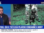 Replay Marschall Truchot : le pitbull qui tué Elisa Pilarski condamné à mort - 11/06