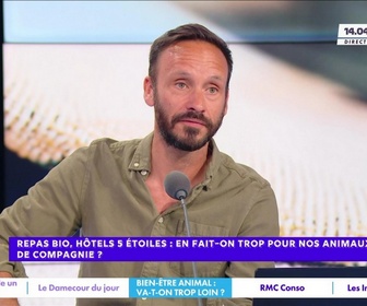Replay Estelle Midi - Canicules, inondations, incendies : seriez-vous prêts à changer de région ?