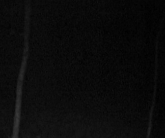 Replay Le projet Blair Witch - 20/11/2025