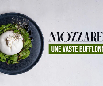 Replay Mozzarella, une vaste bufflonnerie ?