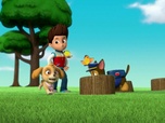 Replay Paw Patrol, la Pat'Patrouille - Le bébé pingouin