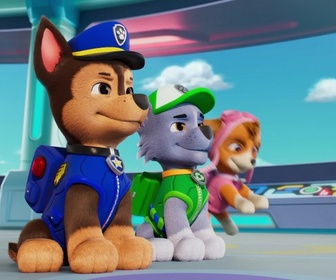 Replay Paw Patrol, la Pat'Patrouille - La pâtisserie géante