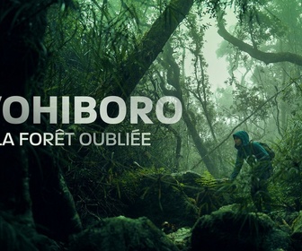 Replay Ivohiboro, la forêt oubliée