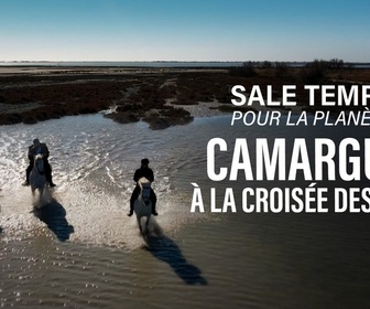 Replay Sale temps pour la planète - Camargue, à la croisée des eaux