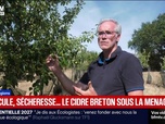 Replay BFM Première prématinale - Focus Régions - 24/08