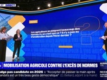 Replay Il y en a tant de normes que ça pour les agriculteurs? Il n'y a pas eu d'amélioration depuis l'hiver dernier? BFMTV répond à vos questions