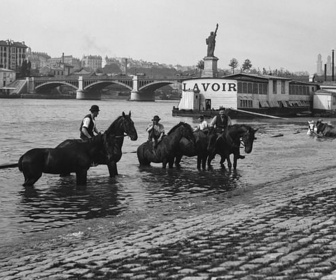 Replay 28 Minutes - La Seine est-elle saine ?