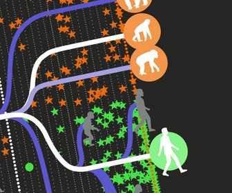 Replay L'Homme descend du singe - Data Science vs Fake