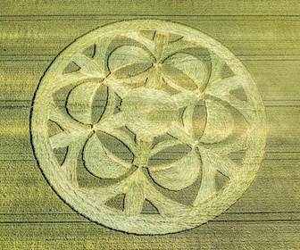 Replay Alien Fiction - S15E2 - Les mystères des cercles de culture