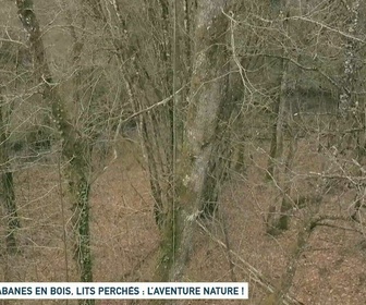 Replay Un jour, un doc - Cabanes en bois, lits perchés : l'aventure nature !
