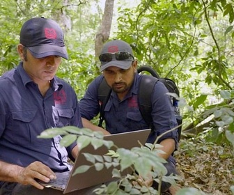 Replay Vivre avec les tigres du Bengale - Corridors sauvages
