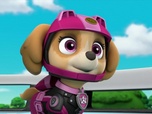 Replay Paw Patrol, la Pat'Patrouille - La Moto Patrouille : La spirale rocheuse