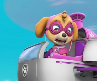 Replay Paw Patrol, la Pat'Patrouille - Le feu d'artifice