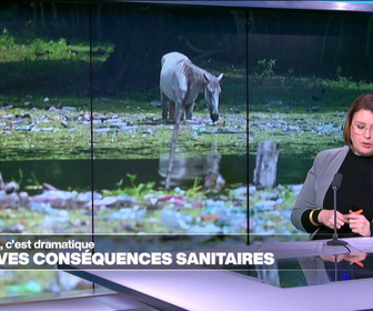 Replay Élément Terre, la quotidienne - Le plastique nous vole des années de vie (étude)