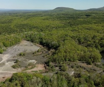 Replay ARTE Journal - USA : la plus ancienne forêt du monde