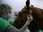 Replay Le doc du Mag santé