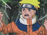 Replay Naruto - Episode 211 - Souvenirs dans le feu