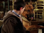 Replay Rex, chien flic - Pour quelques notes de musique