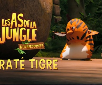 Replay Les as de la jungle à la rescousse - S3 E35 - Karaté Tigre 1