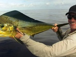 Replay Pêche XXL - S4E4 - Attaques en série