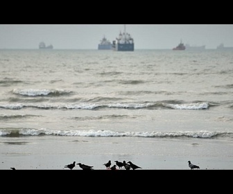 Replay Téhéran promet de venger l'attaque contre un mariage, Washington ouvre une enquête