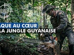 Replay Le journal de la Défense - Traque au coeur de la jungle guyanaise