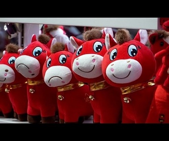 Replay Le cheval triste viral envahit le Nouvel An lunaire en Chine