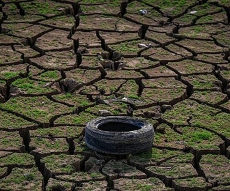 Replay Biodiversité : faire face à la sixième extinction - COP désertification: comment préserver la santé des sols ?