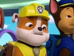 Replay Paw Patrol, la Pat'Patrouille - Galinetta pilote un avion
