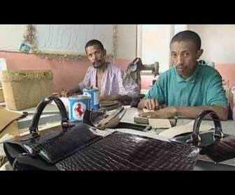 Replay Histoires d'îles - Magadascar