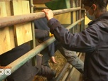 Replay Une saison au zoo - S13 E41