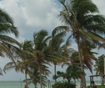Replay Les docs du week-end - L'incroyable succès des vacances all inclusive