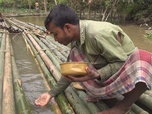 Replay Les routes de l'impossible - Bangladesh, les galériens du bambou