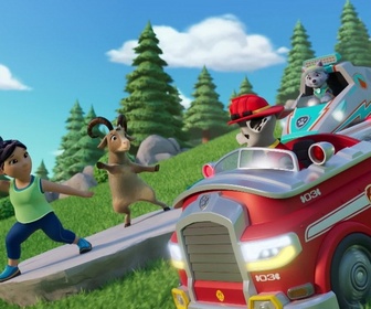 Replay Paw Patrol, la Pat'Patrouille - Cours de yoga à la montagne