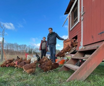 Replay Le bétail, un bien ou un mal pour le climat ? - Roots