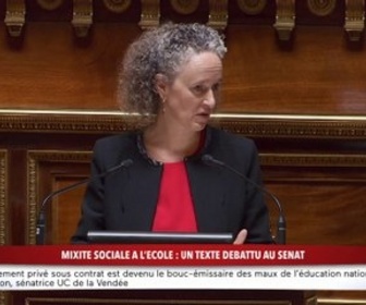 Replay 100% Sénat - Mixité sociale à l'école : un texte débattu au Sénat