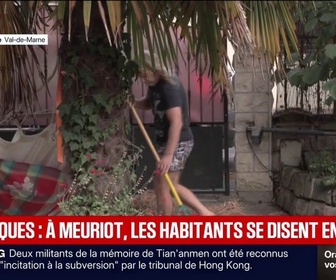 Replay BFM Première - Des habitants du Val-de-Marne envahis par les moustiques