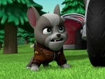 Replay Paw Patrol, la Pat'Patrouille - La Moto Patrouille : Madame Goodway sème la pagaille