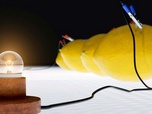 Replay Électricité : tout s'éclaire ! - Déclics