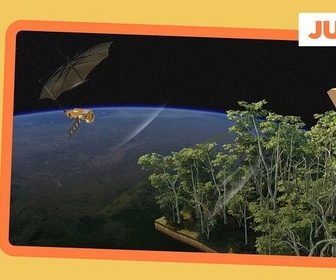 Replay La forêt sous l'œil d'un satellite - ARTE Journal Junior de lundi