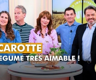 Replay VIP Very Important Paysans - La carotte, un légume très aimable !