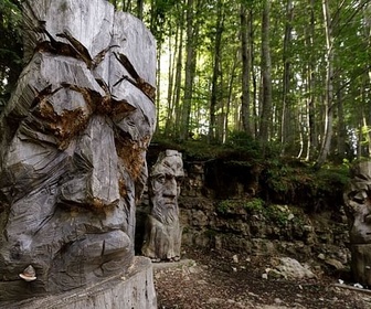 Replay Au pays des Cimbres - La gardienne de la forêt