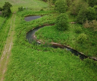 Replay A la source - Artois Picardie : Est-il possible de faire revenir une rivière à l'état sauvage ?