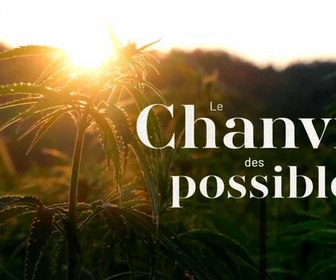 Replay Le chanvre des possibles